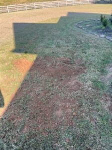 8694BFA4-A6A4-4799-9D51-F0C9DCEC9A95