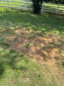 9AA36451-80D5-46F1-9E66-8D04500A291B