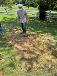 E3A45A75-4C02-4B99-BEAA-8C3925ED6854