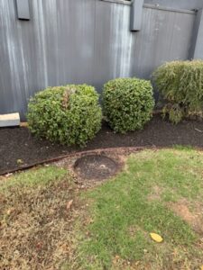 F0DE41CC-F090-44B6-84C4-CA50155AD0BE