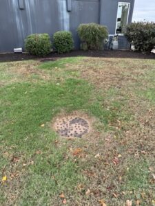 F658C5AB-EA77-4C67-A75C-8BC0BBD0FAFF